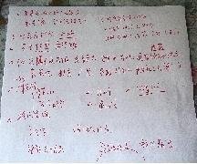 我们的语文老师经典作文