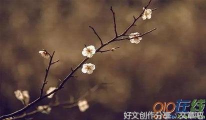 学校给我的欢乐作文200字