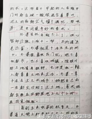 关于马上就要上初中的作文800字