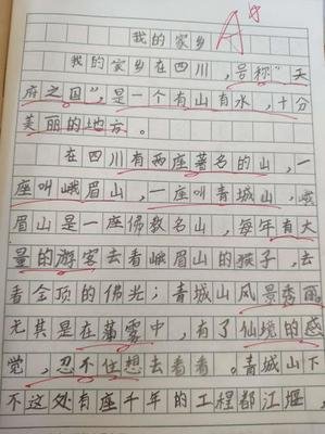 关于家乡美的作文550字