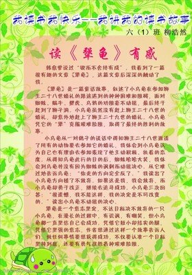 去见年少的你读后感摘抄