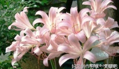 棒优美的句子