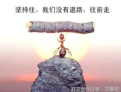 今生是第一次优美的句子
