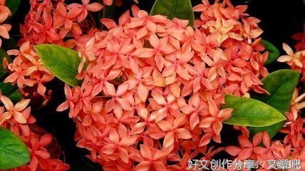 大福的名言_关于大福的名言
