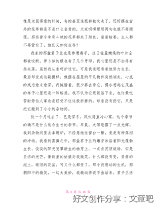 君子兰作文300字