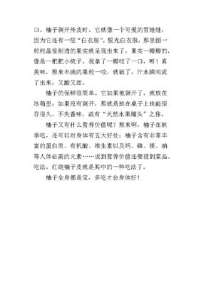 柚子作文300字