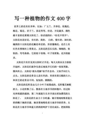 多肉植物作文600字
