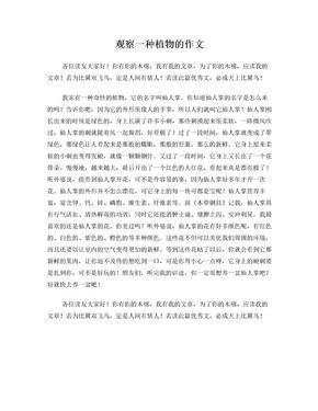 我喜欢的植物作文10篇