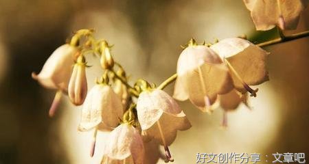 关于一次失误酿成大错的作文500字