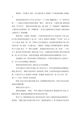 初中暑假生活作文800字