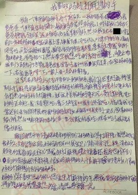 《典典》经典读后感有感