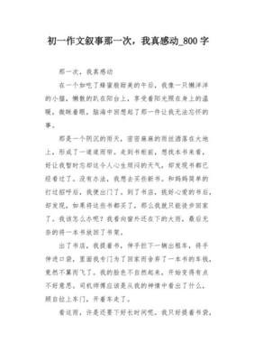 那一次我真感动作文300字