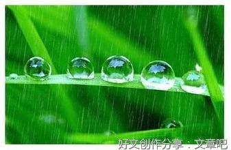 《三月初雨》的作文