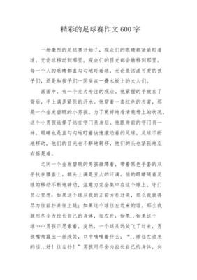 一场精彩的足球赛作文600字