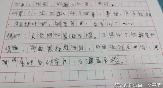如何过年的作文片段100