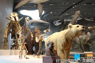 关于成长和但当为主题的作文300字