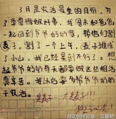 关于被同学误会作文600字300字