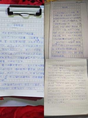 关于感人故事作文400字