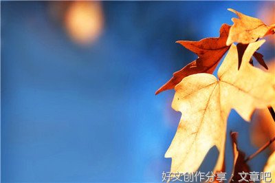 关于老师趣事密蜜蜂来了作文