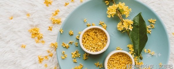 佳句集我心优美的句子