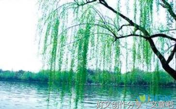 1的优美句子