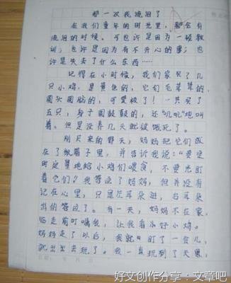 关于校园趣事的作文