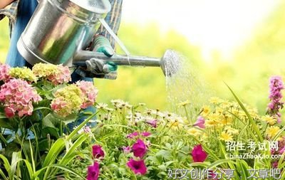 有关都是粗心惹的祸的作文