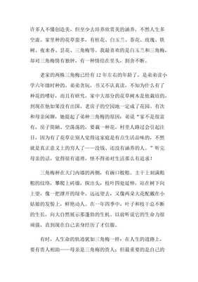 三角梅作文(精选10篇)
