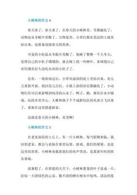 家乡的小树林作文(精选10篇)