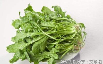有关挖荠菜的作文
