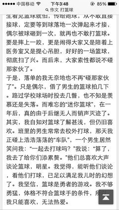 《篮球》的作文
