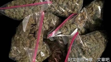 以探险为话题的六百字作文