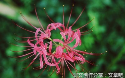 阿句子
