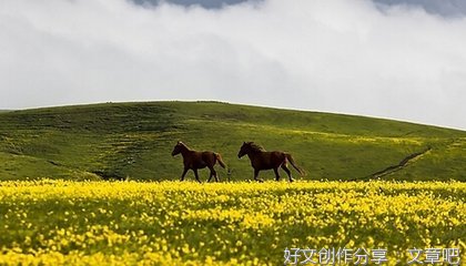 关于感悟的句子