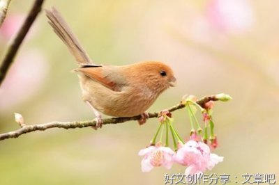 ❤的优美句子