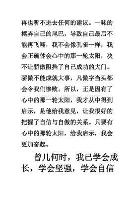 我心中的太阳经典作文