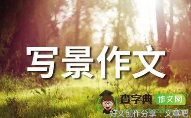 赏荷作文大全