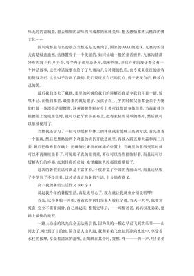 暑假生活作文600字初中