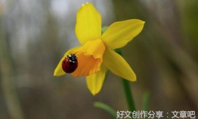 关于端午节的过节作文10篇