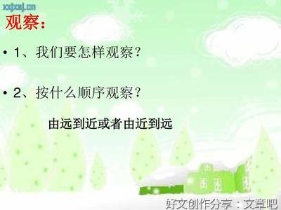 描写一处景物的作文350字