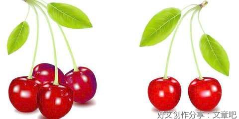 《失眠》读后感精选