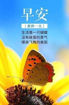 有关自我激励的句子
