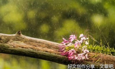我的五一假期作文