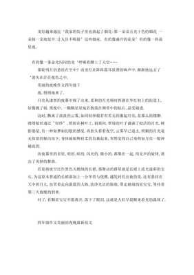 《美丽的夜晚》的作文
