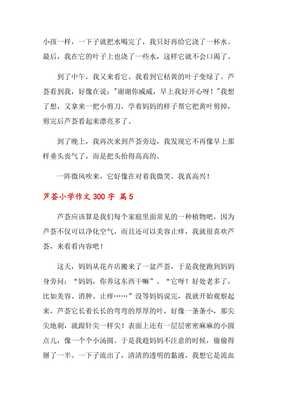 描写芦荟的作文题目叫什么800字