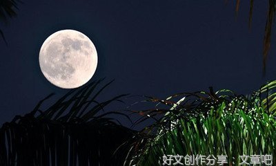2015中秋之夜作文