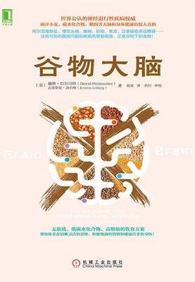 大脑传的读后感大全