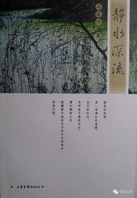 金银坞读后感精选