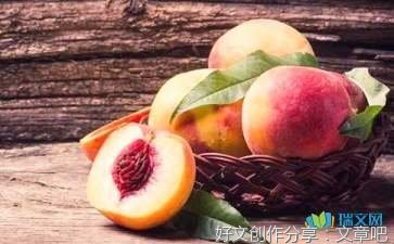 小猴子摘桃子作文(精选10篇)