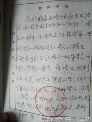 惊喜的发现作文800字